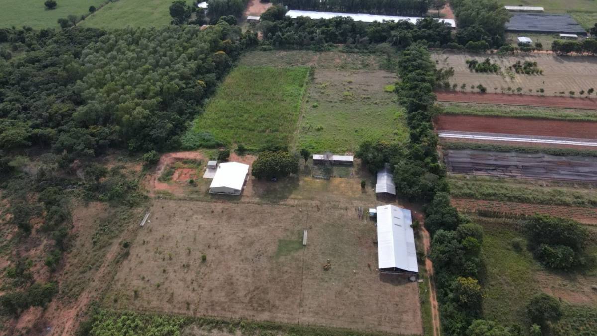 VENDO ESTANCIA GANADERA EN NUEVA ITALIA — foto 2
