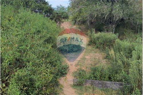 20 Hectareas (200.000 M2) EN VENTA — foto 2