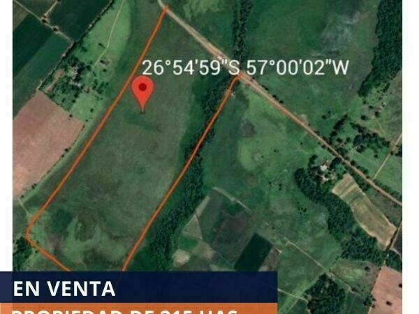 ¡EN VENTA! PROPIEDAD DE 215 HECTARÉAS EN SAN IGNACIO, MISIONES. — foto 3