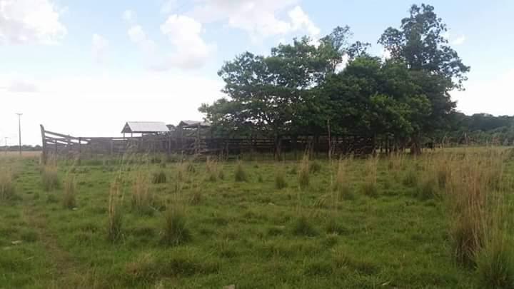 VENDO 285 HECTAREAS EN MISIONES — foto 3
