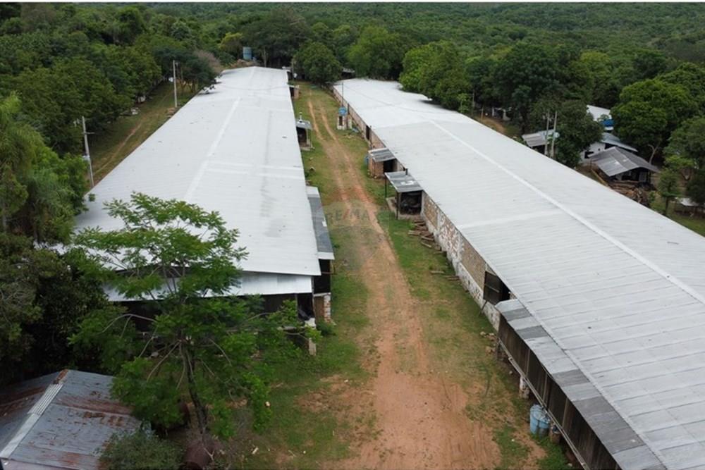 VENTA DE GRANJA AVICOLA EN LA CIUDAD DE ALTOS — foto 2