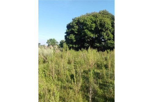 TERRENO DE 62 HECTAREAS EN CORONEL BOGADO — foto 3