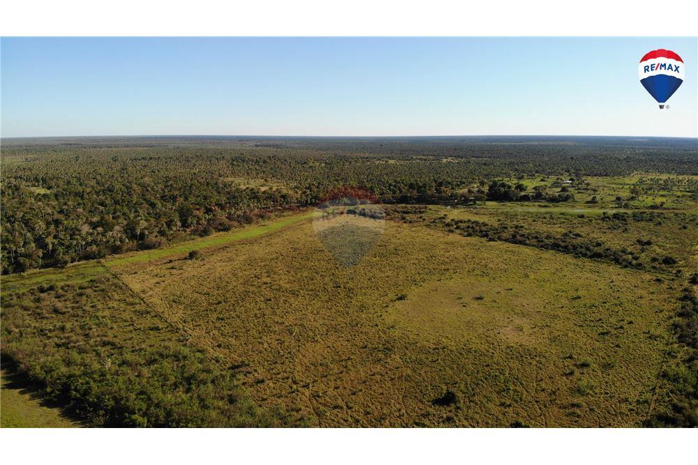 Vendo Estancia de 731 Hectáreas en Villa Oliva, Alberdi — foto 3
