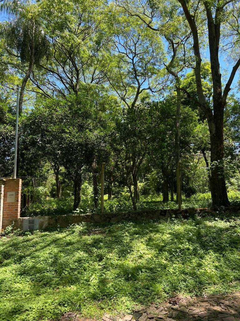 Terreno en venta en San Bernardino — foto 2
