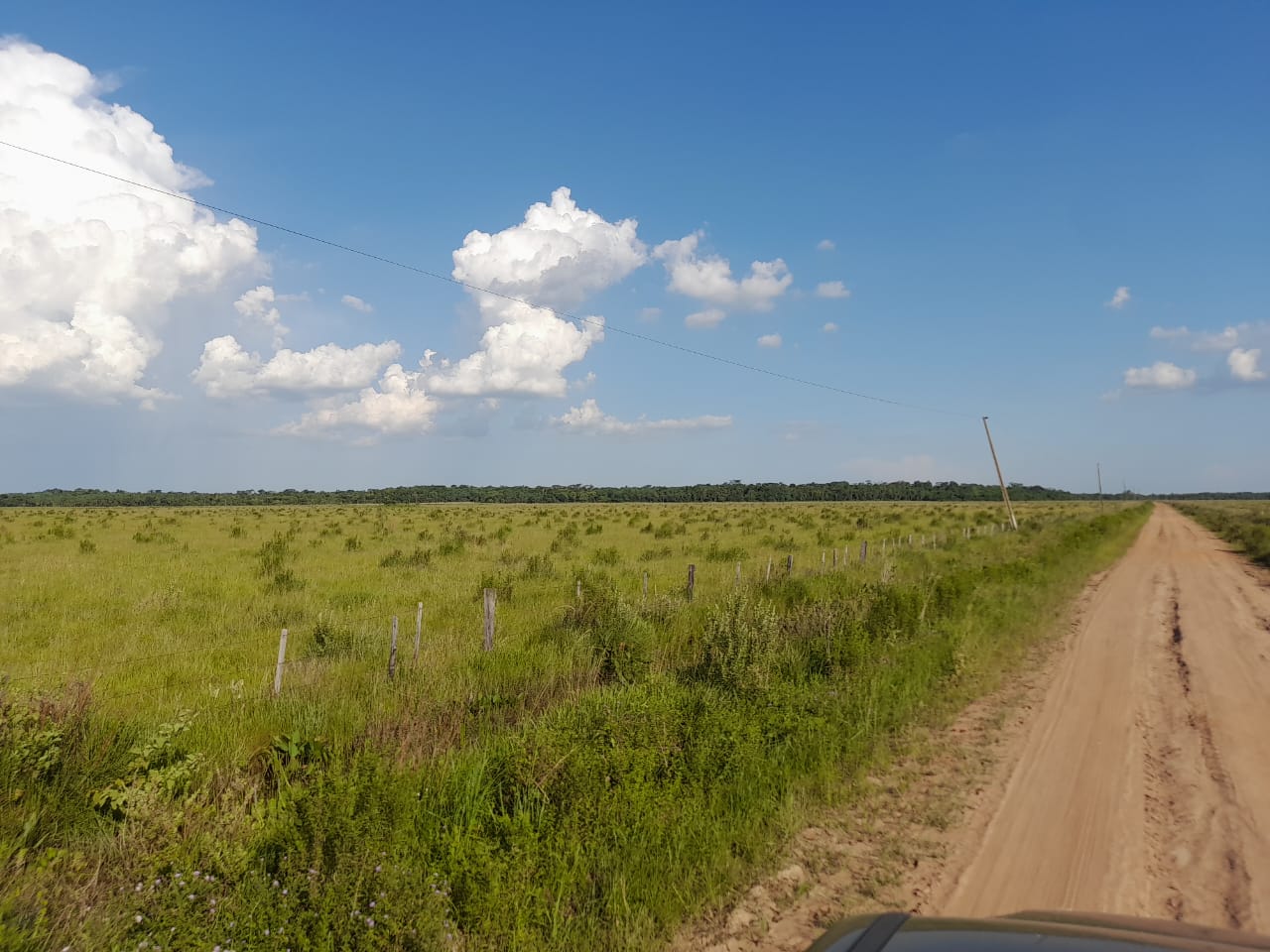 Vendo Propiedad de 480 Has en Caazapá, Zona San Juan Nepomuceno - CLCS7387261 — foto 2