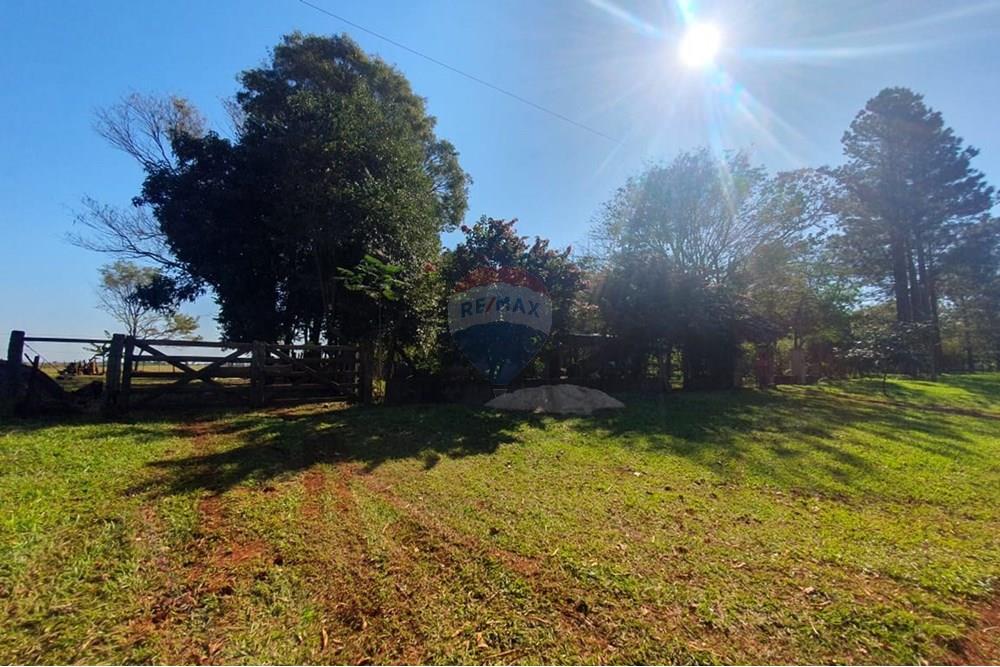 VENDO GRANJA FORMADA EN COLONIA NUEVA FORTUNA — foto 3