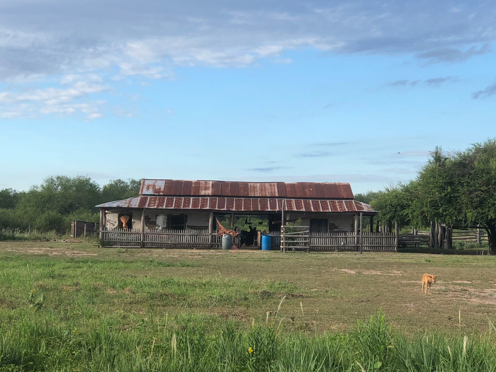 VENDO ESTANCIA GANADERIA  1796HAS.EN EL CHACO! — foto 2