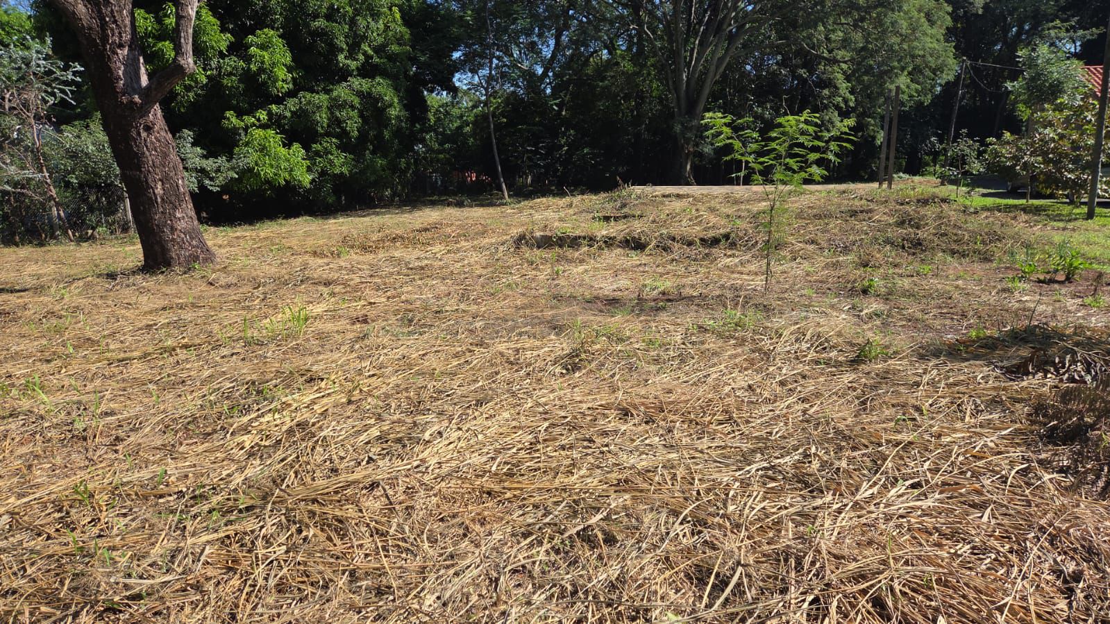 VENTA DE TERRENO EN SAN BERNARDINO — foto 2