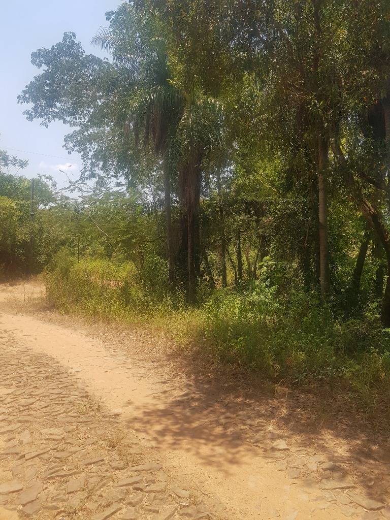 Terreno en San Bernardino zona Ciervo Cua — foto 2