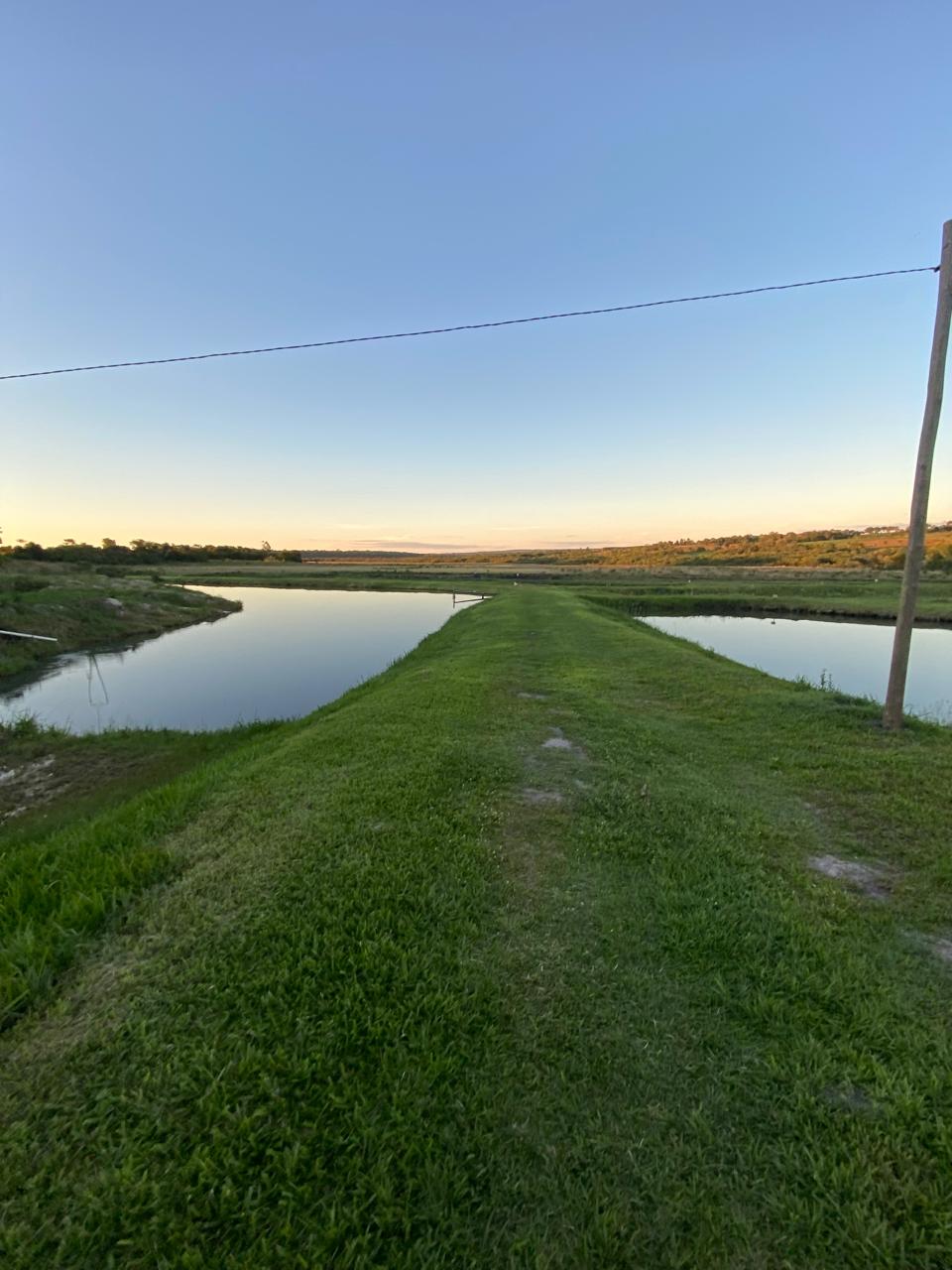 Vendo 60 Ha sobre el arroyo guyraungua — foto 2