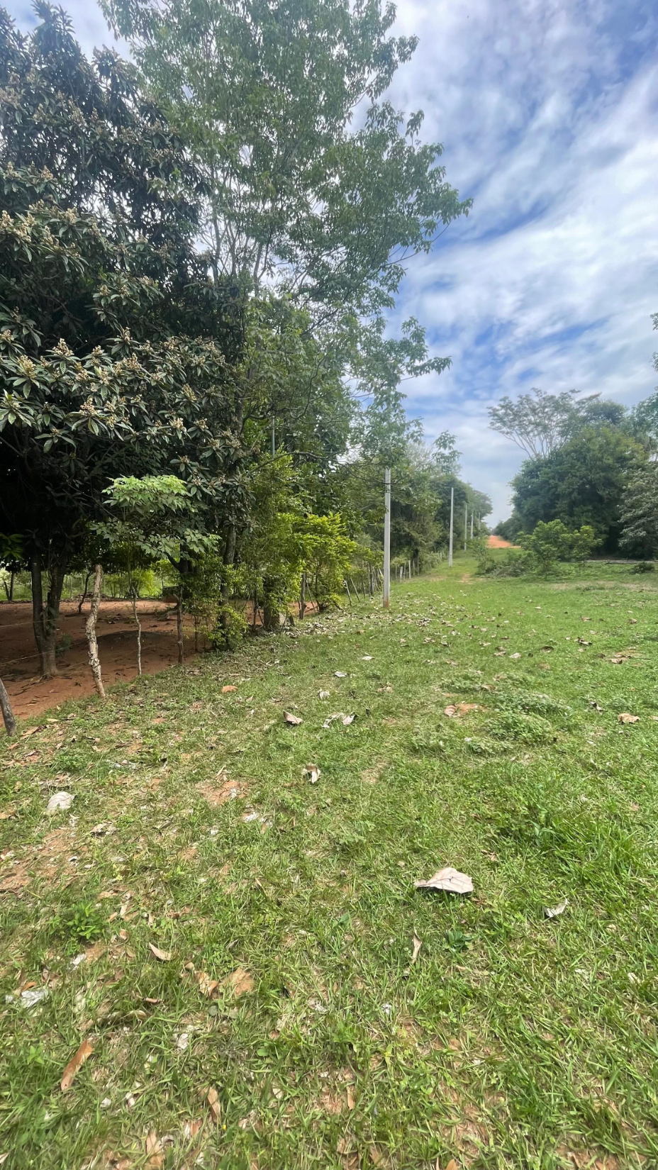 Vendo 9,7 hectáreas con arroyo en Atyra a 4,3 km asfalto Tobati - Atyra — foto 2