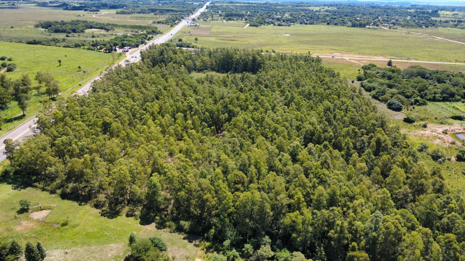 VENDO 10 HECTAREAS SOBRE RUTA EN CORONEL OVIEDO — foto 3