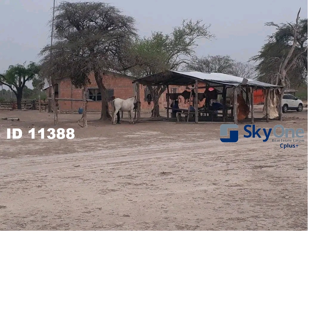 VENDO ESTANCIA EN ALTO PARAGUAY-FORTIN FLORIDA, 1500HAS — foto 2