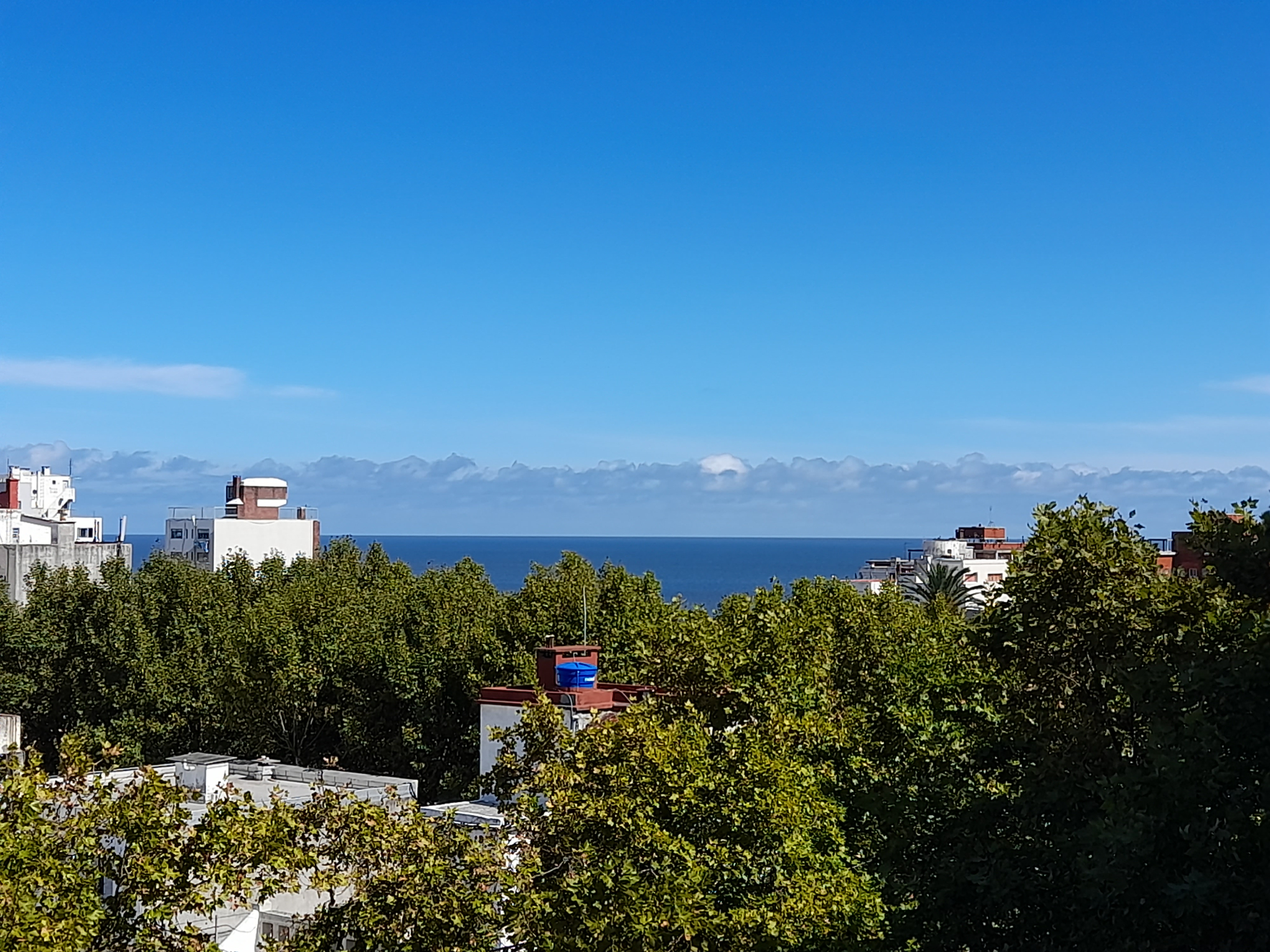 Exclusivo Monoambiente Penthouse en Parque Rodó: Terraza Panorámica, Parrillero Privado y Opción a Garage