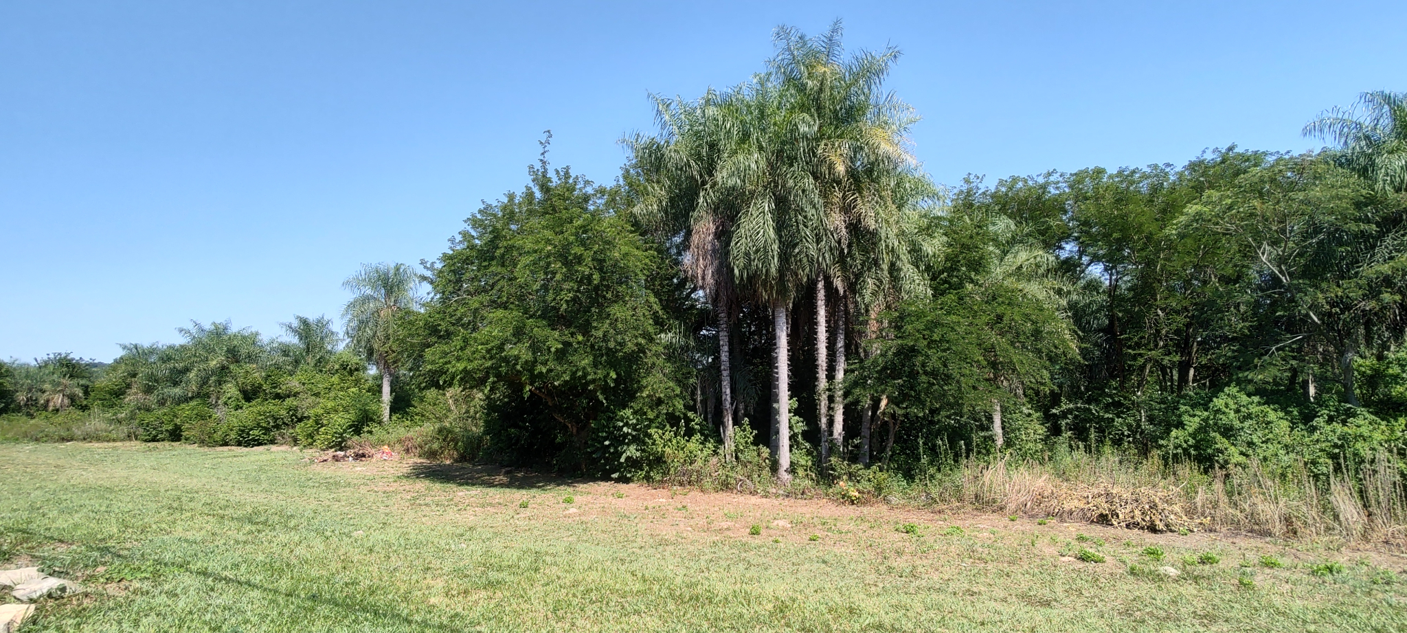 Oportunidad única: Venta de cinco terrenos contiguos en Ypacaraí. — foto 3