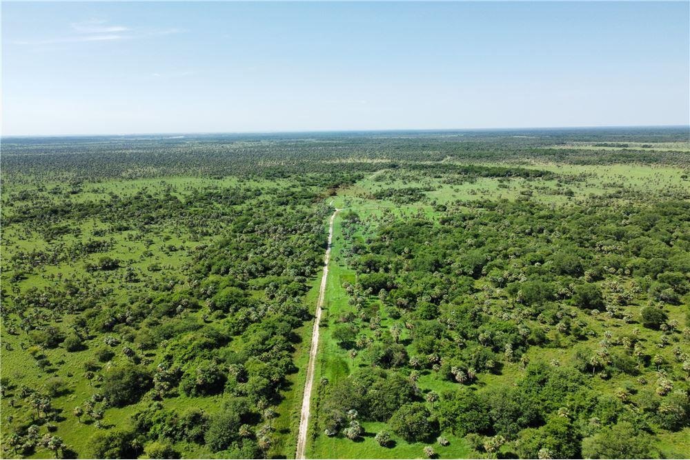 VENTA ESPECTACULAR CAMPO BENAMIN ACEVAL-R 09 KM 49 — foto 3