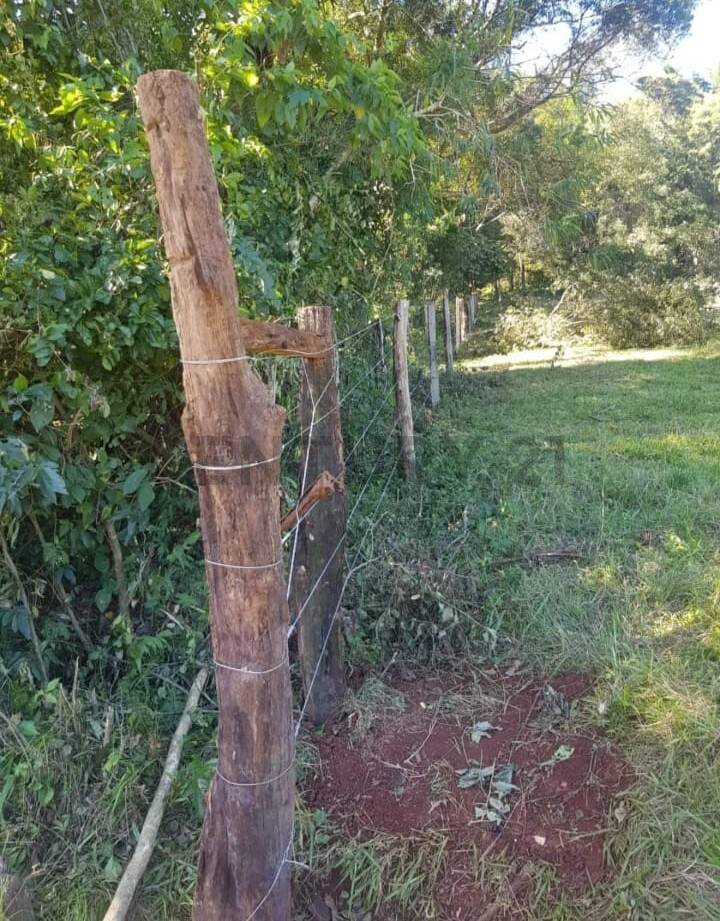 Vendo 52 Hectáreas en las serranías del Yvyturuzu-Colonia Independencia — foto 3