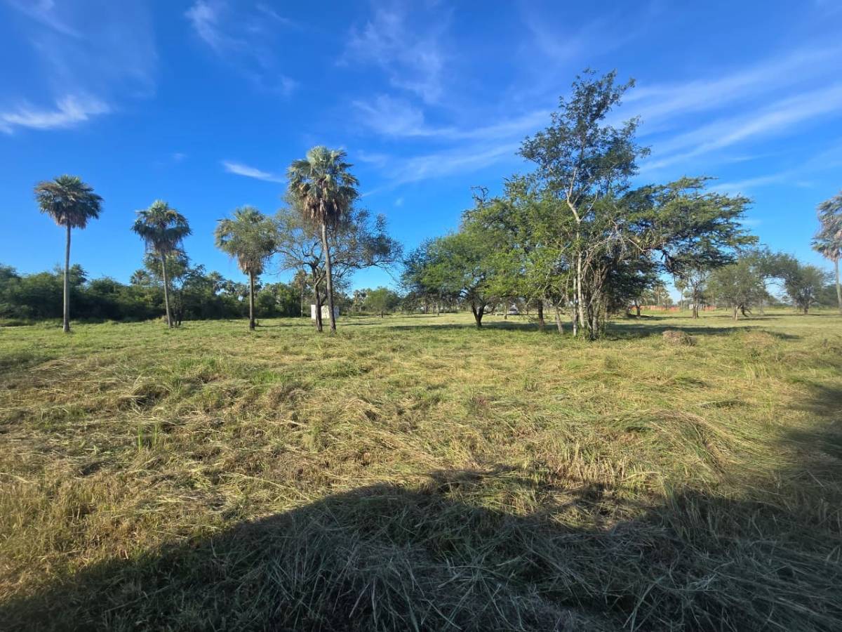 TERRENOS EN JOSE FALCON — foto 2