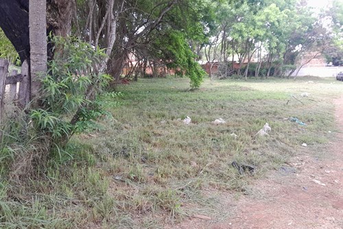 Terreno-Venta-Sauce c/ Herrera, Cerrito, Capiata, Central — foto 3
