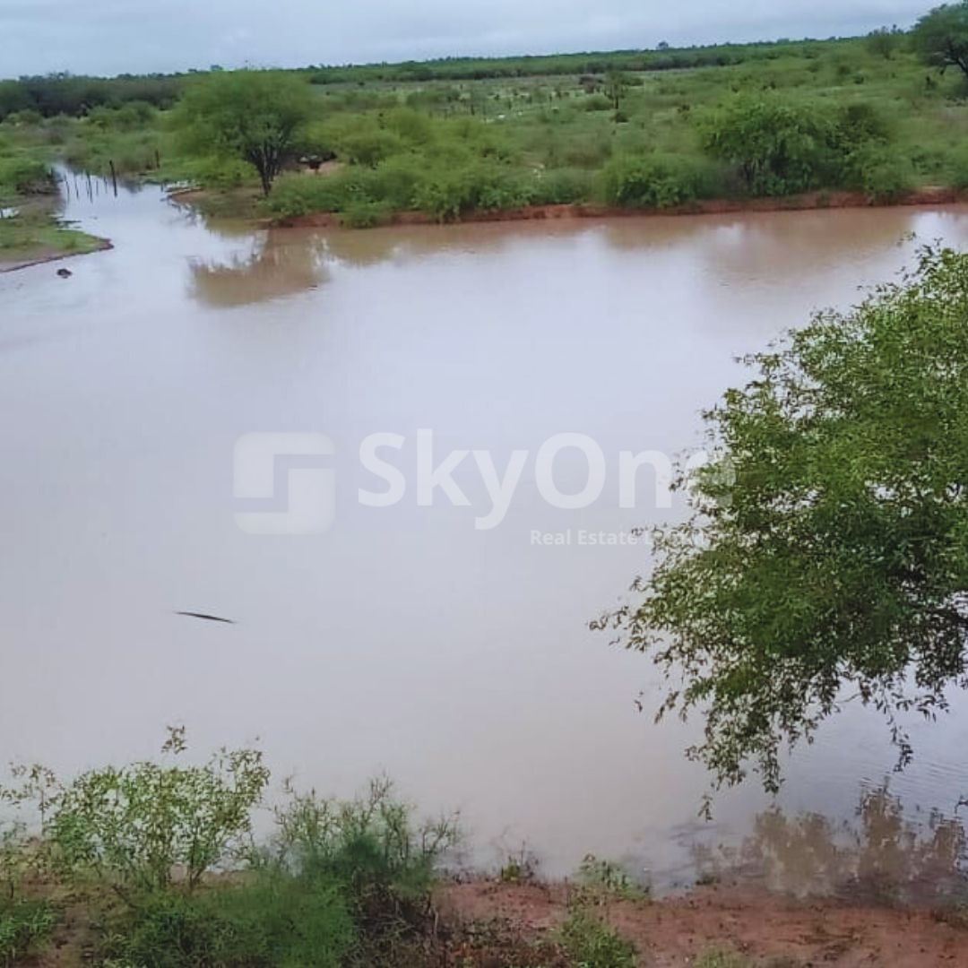 VENDO PROPIEDAD EN EL CHACO  Dpto. de Alto Paraguay, zona Tte. Martínez — foto 3