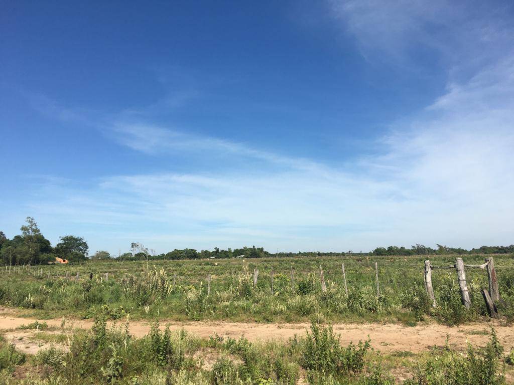 CAMPO EN VENTA ,19 HECTÁREAS, CON GRAN POTENCIAL PRODUCTIVO EN ABAÍ, CAAZAPÁ — foto 2