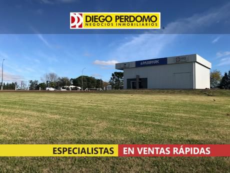 Predio En Venta O Alquiler, Montevideo.