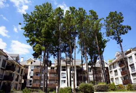 Apto 2 Dorm E Haras Del Lago