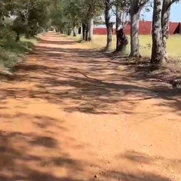 El Cortijo San Bernardino amplio terreno en venta — foto 2