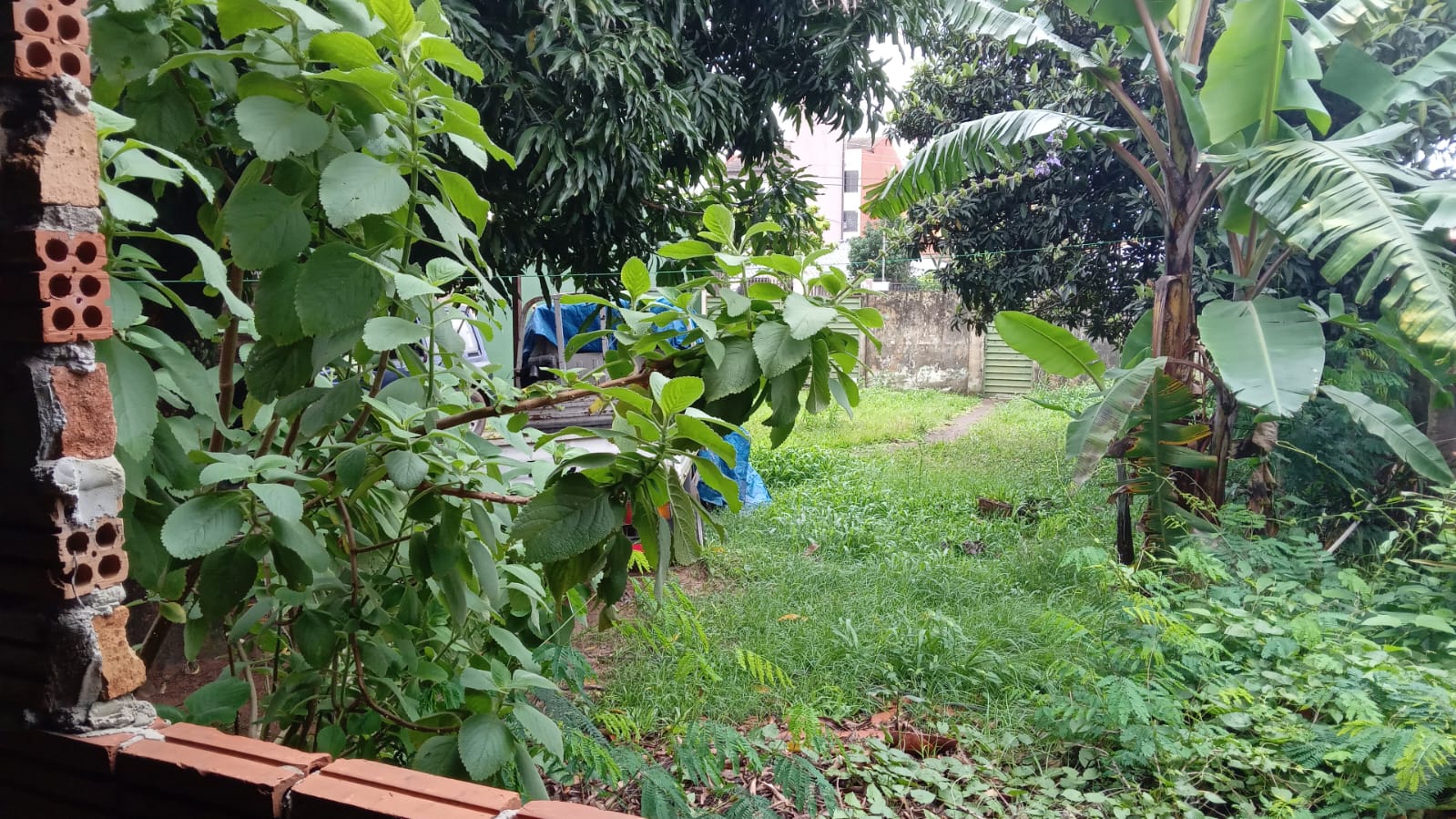 VENDO HERMOSA PROPIEDAD EN EL KM 4!! — foto 3