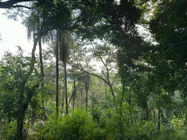 TERRENO EN VENTA YVY ANGUY PRIMERA — foto 3