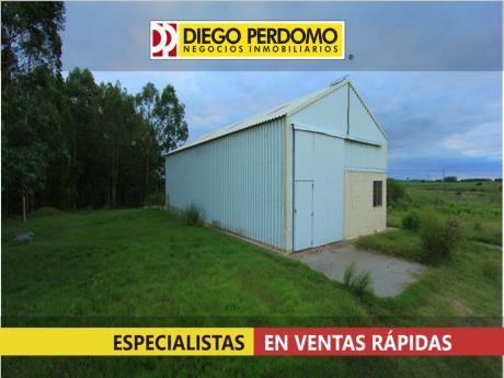 Campo Forestal De 117 Has En Venta, San José