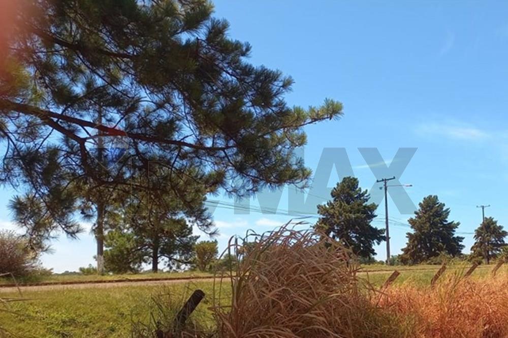 Terreno Minga Guazú Alto Paraná — foto 3