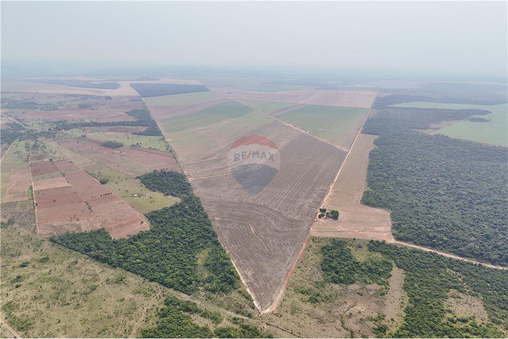 Finca Agrícola - Venta - Capiibary, San Pedro, Paraguay — foto 2