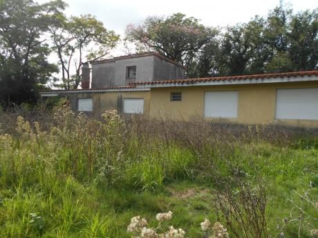 Chacra De Más De 3has C/chalet!! A Cuadras Del Club Olimpia