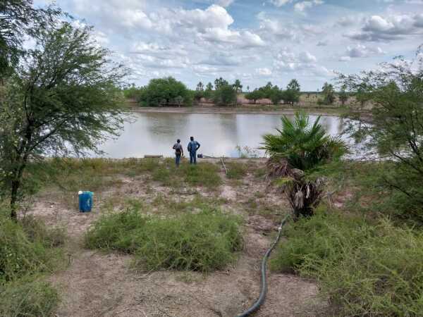 ESTANCIA EN VENTA | ZONA TTE ESTEBAN MARTINEZ — foto 3