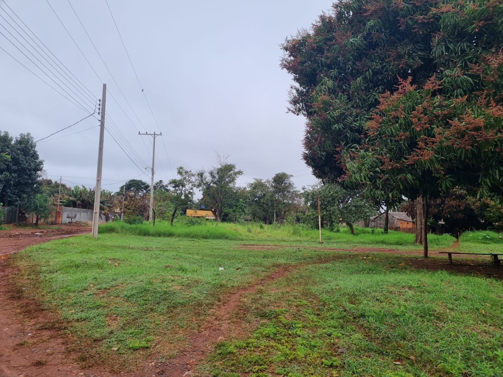 Inversión Premium: 5 Lotes Exclusivos en Don Bosco, Km 07, a 700 metros de Av. Perú – ¡Potencial de Crecimiento y Rentabilidad Inigualables! — foto 3