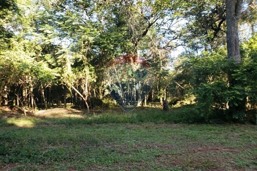 TERRENO EN VENTA, ALTOS — foto 2