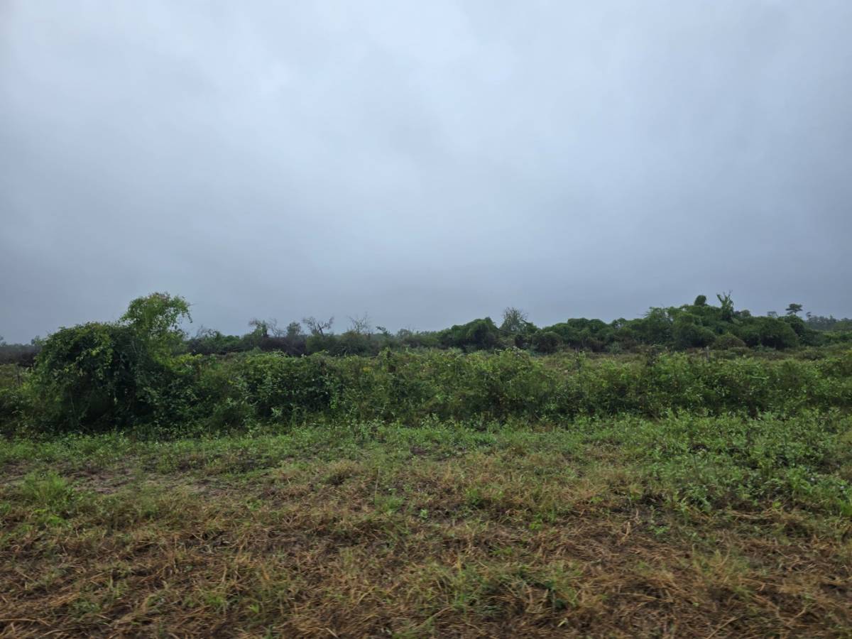 VENDO CAMPO M F E BOQUERON — foto 3