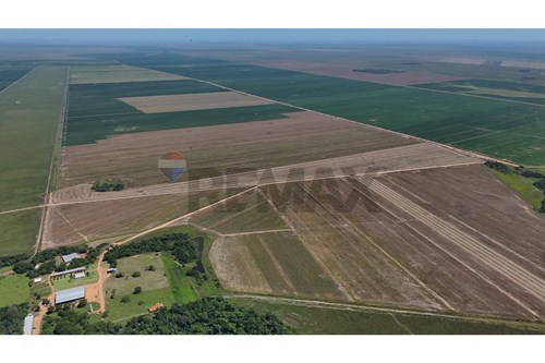 Granja Agrícola-Venta-PY Itapúa General Artigas — foto 3