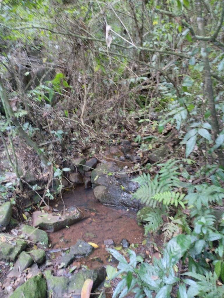 Venta de Propiedad Agrícola en Jesús, Itapúa GRANJA de 6ha. — foto 2