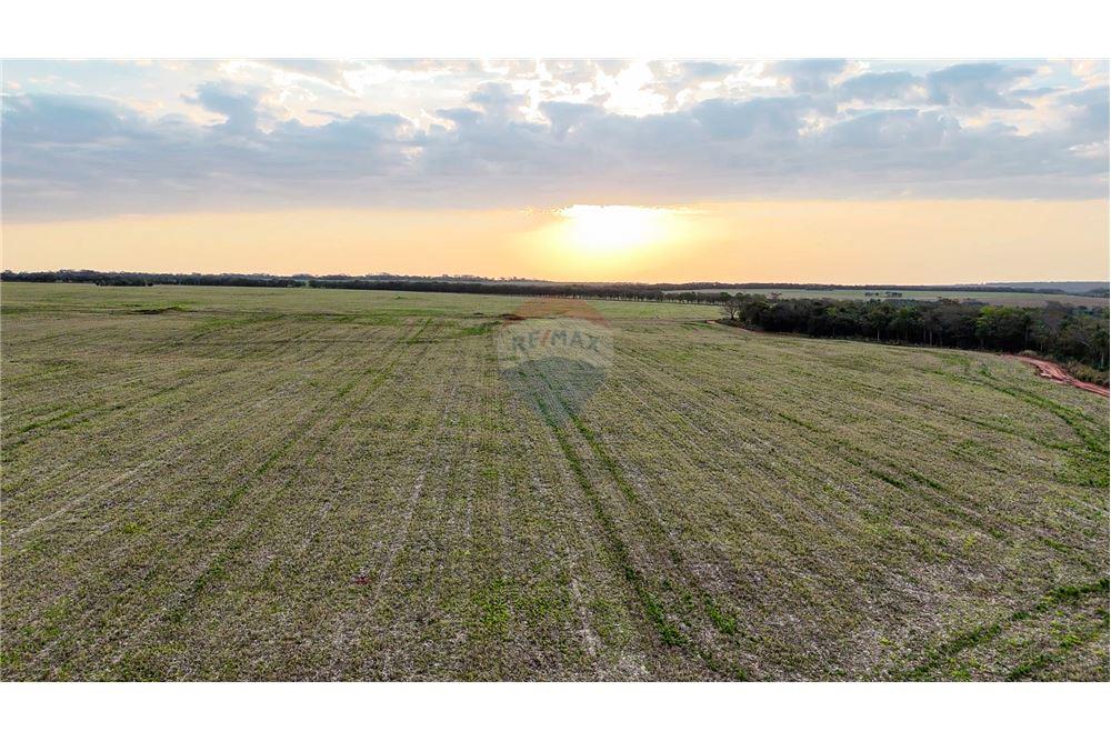 VENDO ESTANCIA PRODUCTIVA EN SAN PEDRO 2.045 HECTAREAS — foto 2