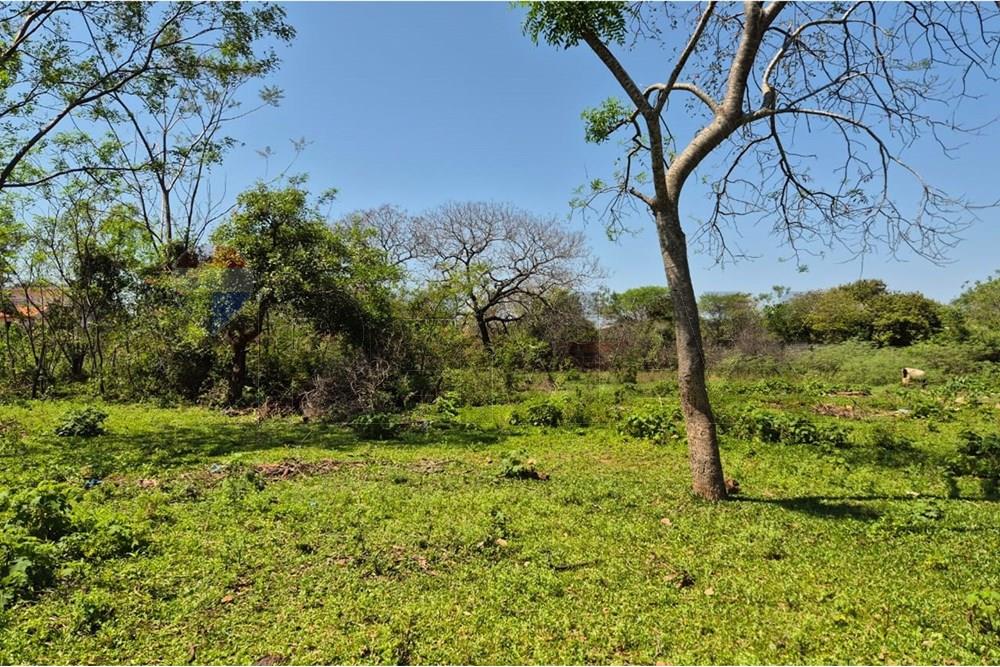 vendo amplio y gran terreno en luque city — foto 2