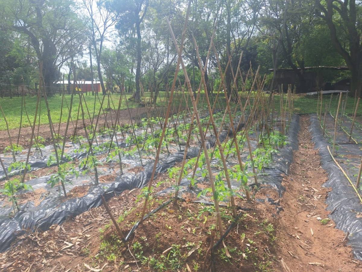 Hermoso terreno con arroyo caacupe , Caacupé, Cordillera — foto 2