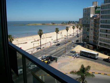 Alquiler De Apartamento Frente Al Mar!!,