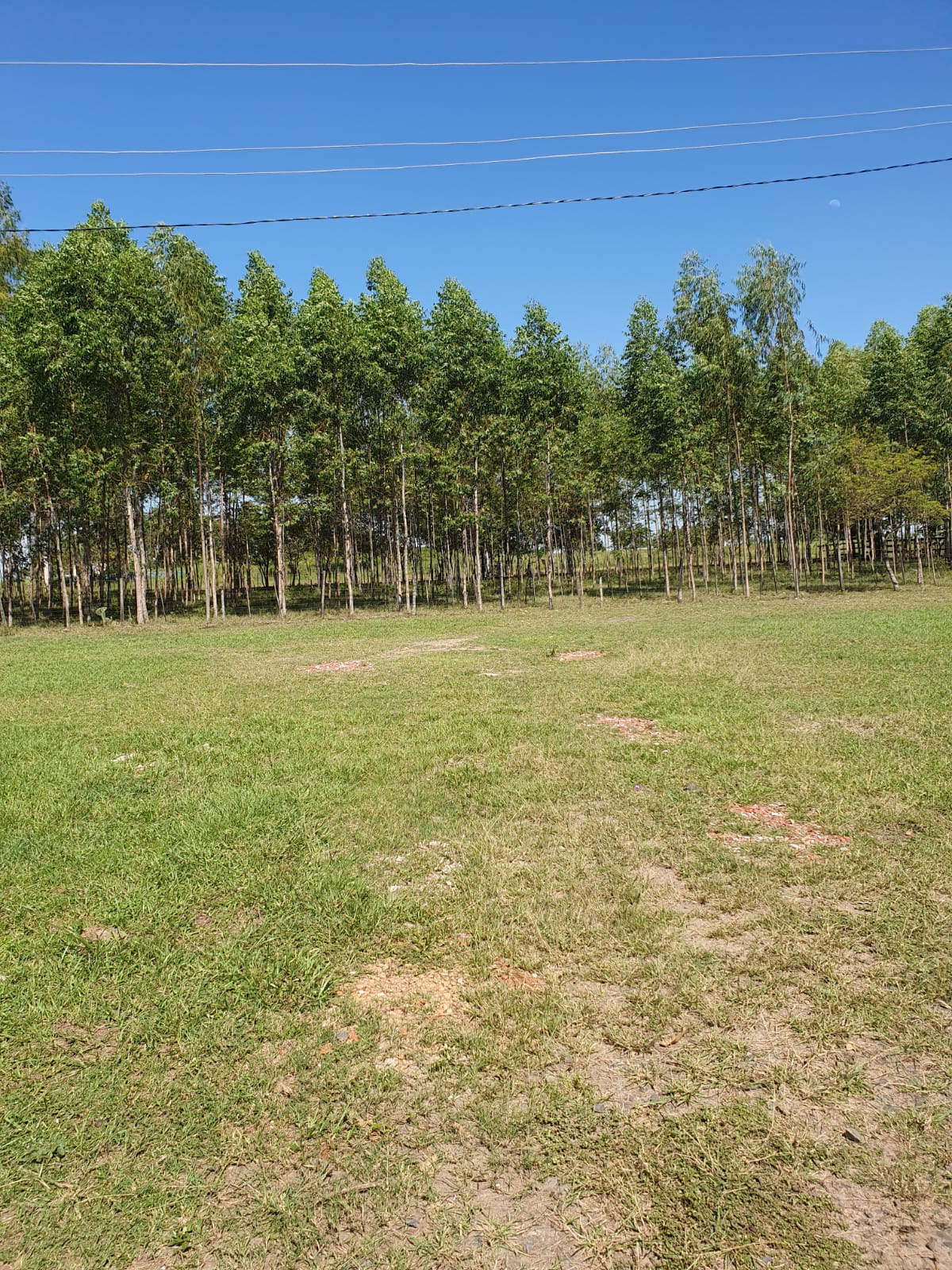 VENDO IMPORTANTE PROPIEDAD EN VILLA HAYES — foto 2
