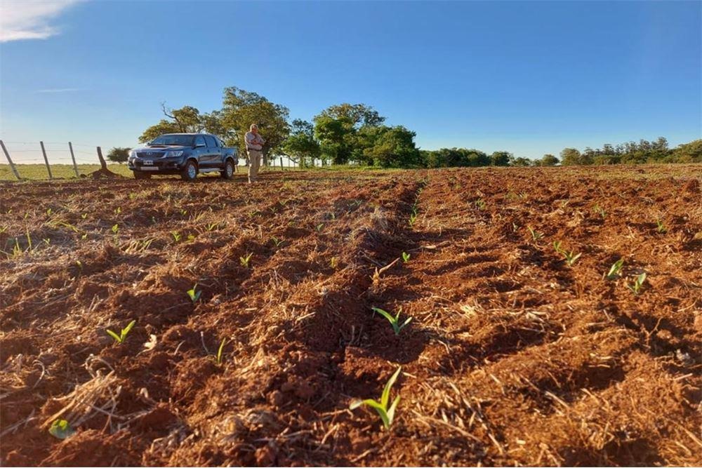 VENDO CAMPO DESARROLLADO LIMITE PARAGUAY Y ARGENTINA — foto 2