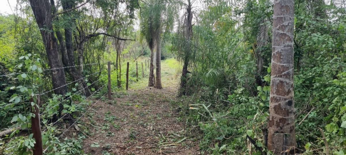 Vendo Terreno en San Bernardino ideal para desarrollo — foto 2