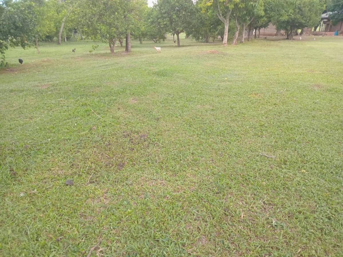Granja en Venta en Piribebuy — foto 3