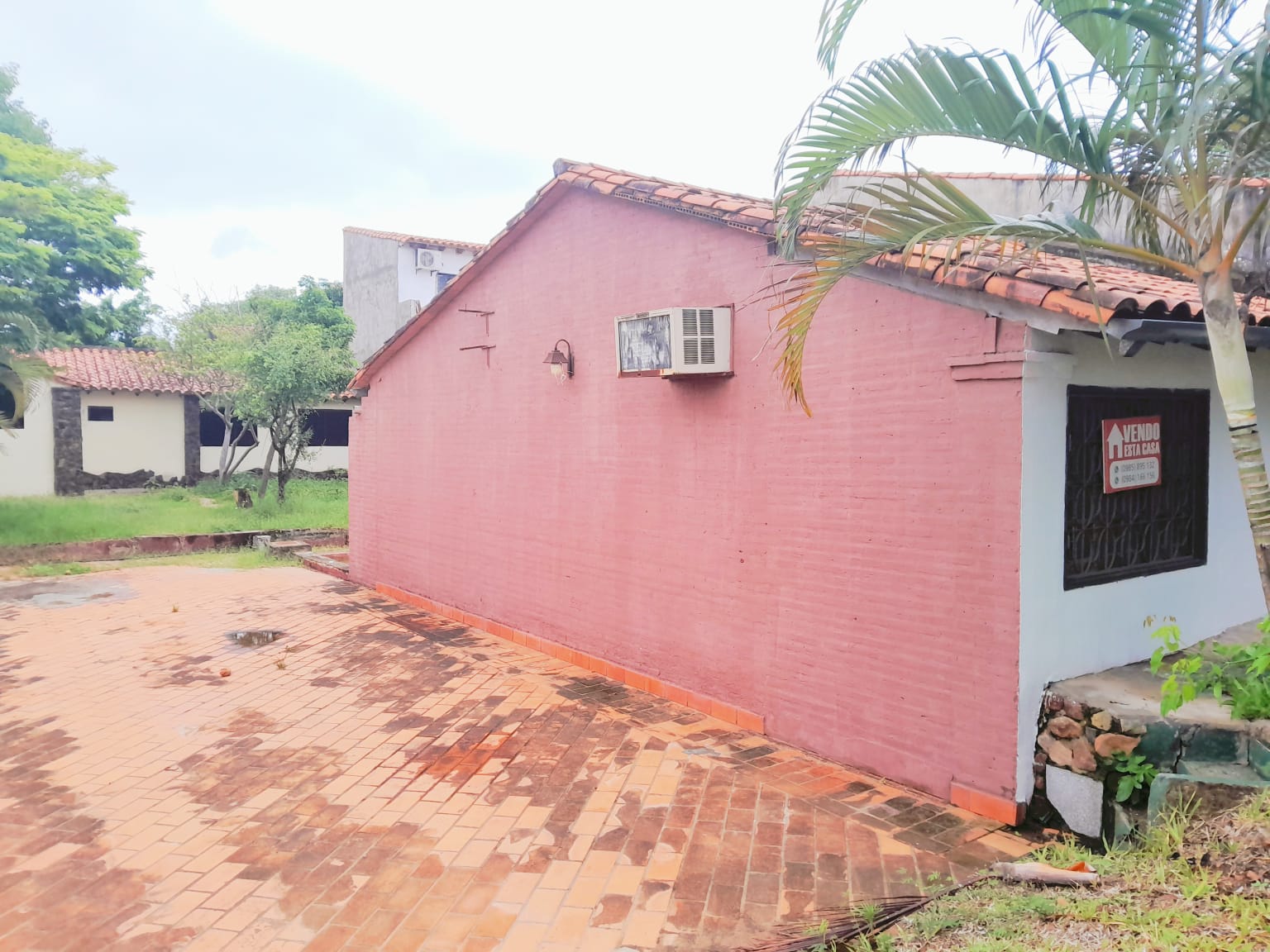Vendo Casa En Limpio Gral. Elizardo Aquino — foto 3