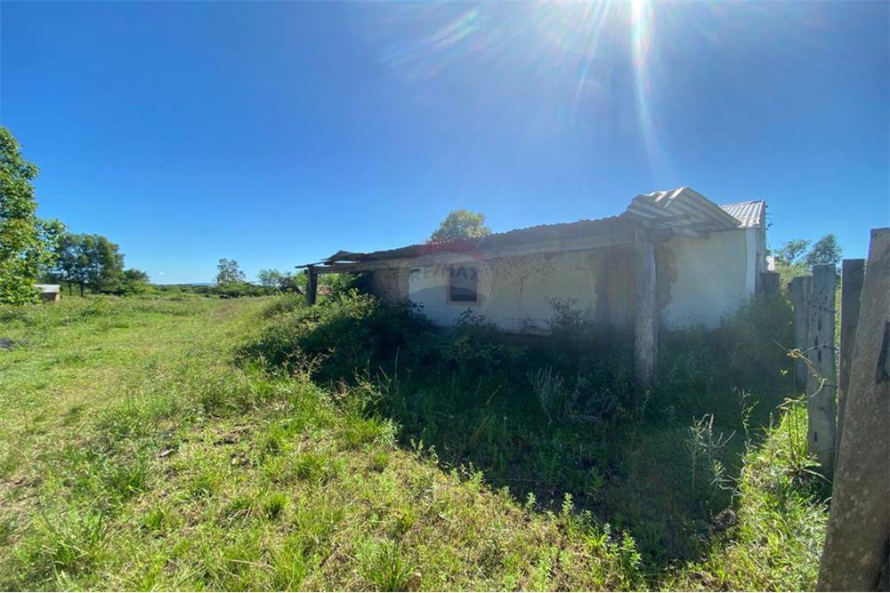 VENDO TERRENO DE 1 HA. MAS 1.050 M2. — foto 3